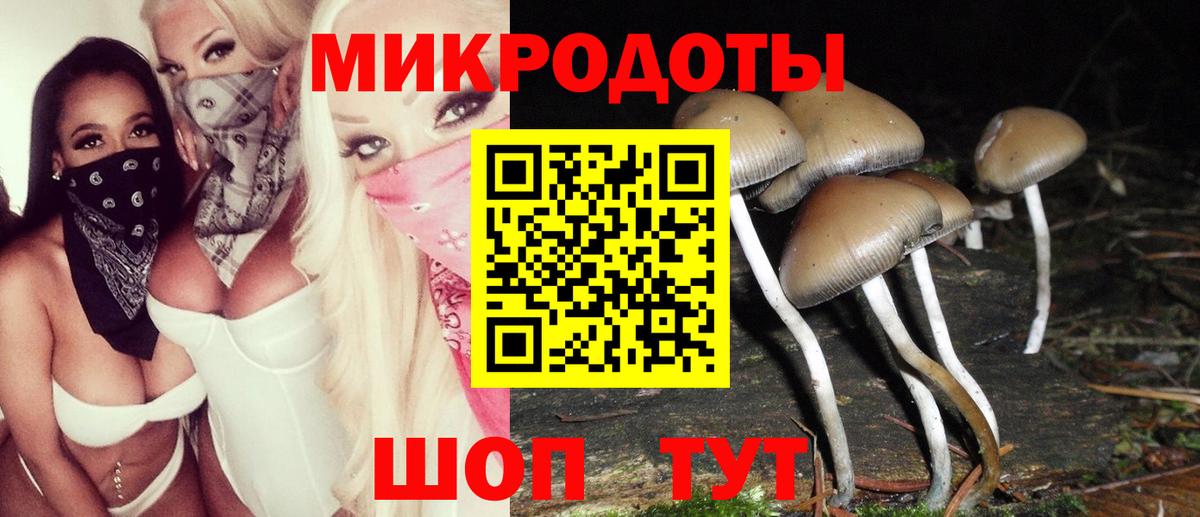 Ростов Великий  Псилоцибиновые грибы MAGIC MUSHROOMS  Вход с VPN 
